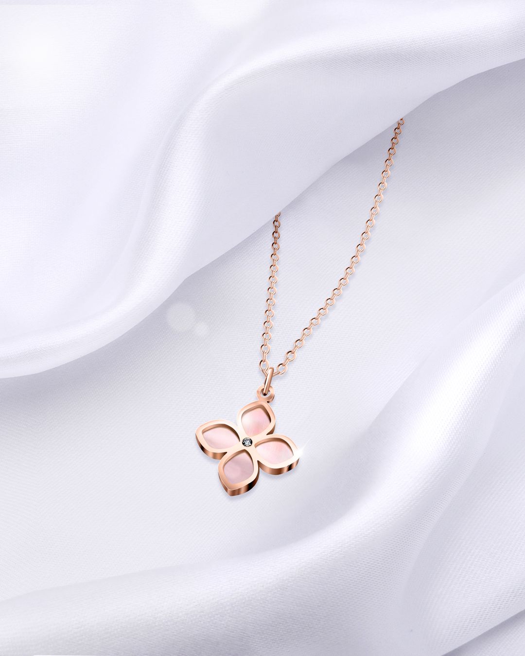 Packshot Stellettio Rosa