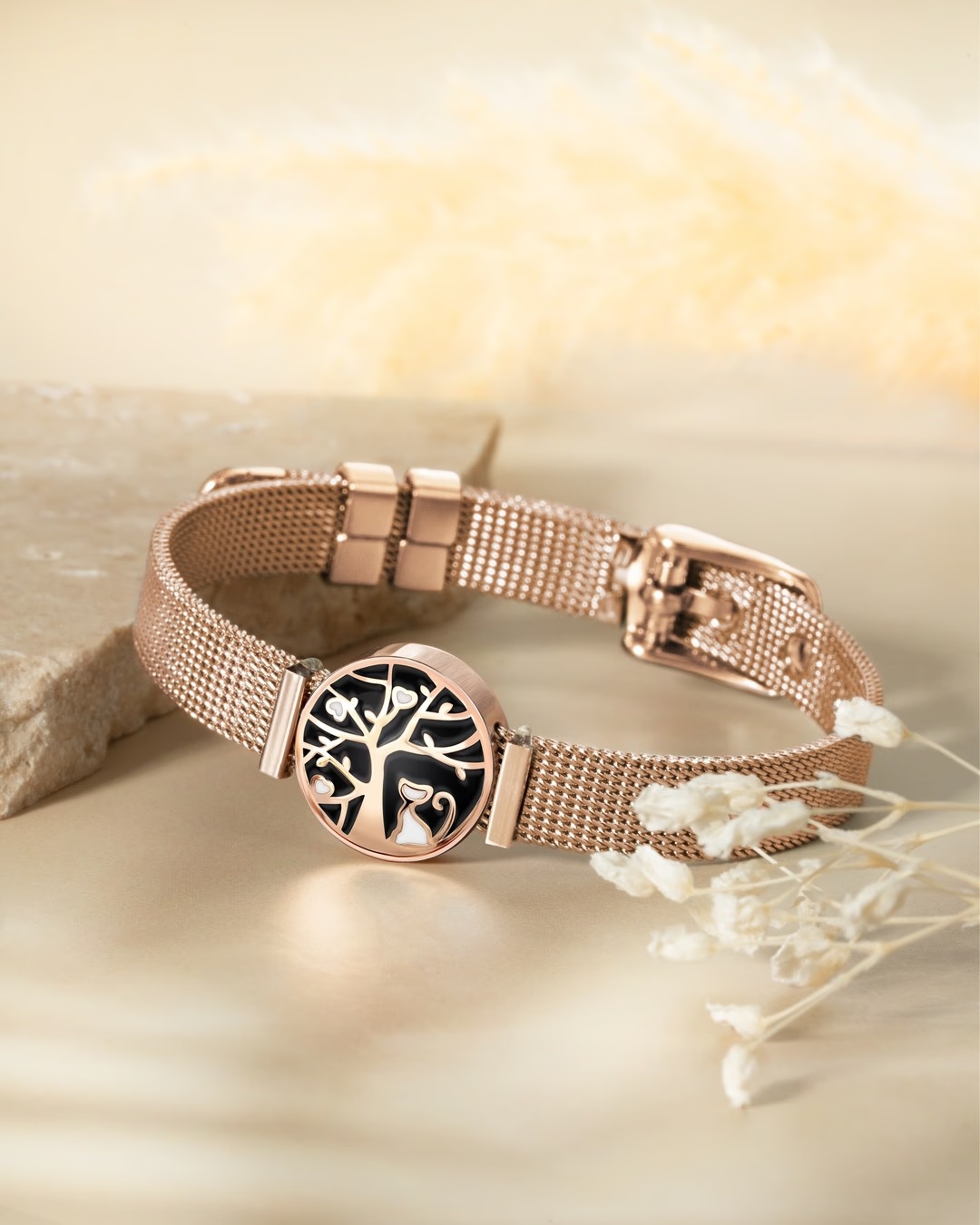 Packshot Gattia Nera